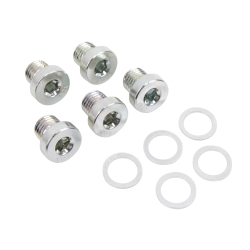 Drain Plug with Sealing Ring, 5 pcs, for BMW Transfer Case, for Drilling / Milling Tool Item no. 123205