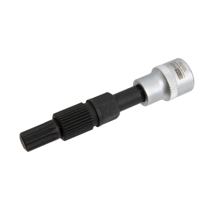Tubulară pentru fulia cu roată liberă a alternatorului, M10 XZN / 31 dinți Ø14 mm – Alfa Fiat Opel
