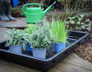 Multipurpose Tray with Pouring Spout, Black, 42 L