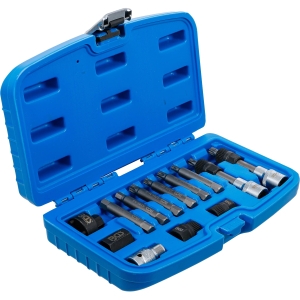 Set biți și tubulare pentru alternatoare, acționare de 1/2", 13 piese