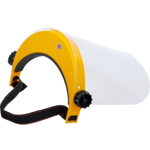 Transparent Face Shield