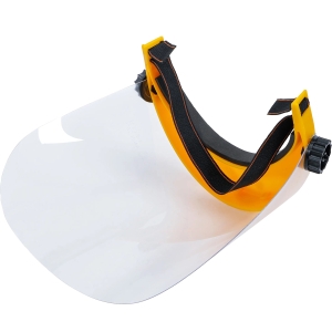Transparent Face Shield