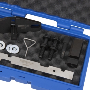 Set scule reglaj distribuție Ford / Mazda 1.25 / 1.4 / 1.6 16V